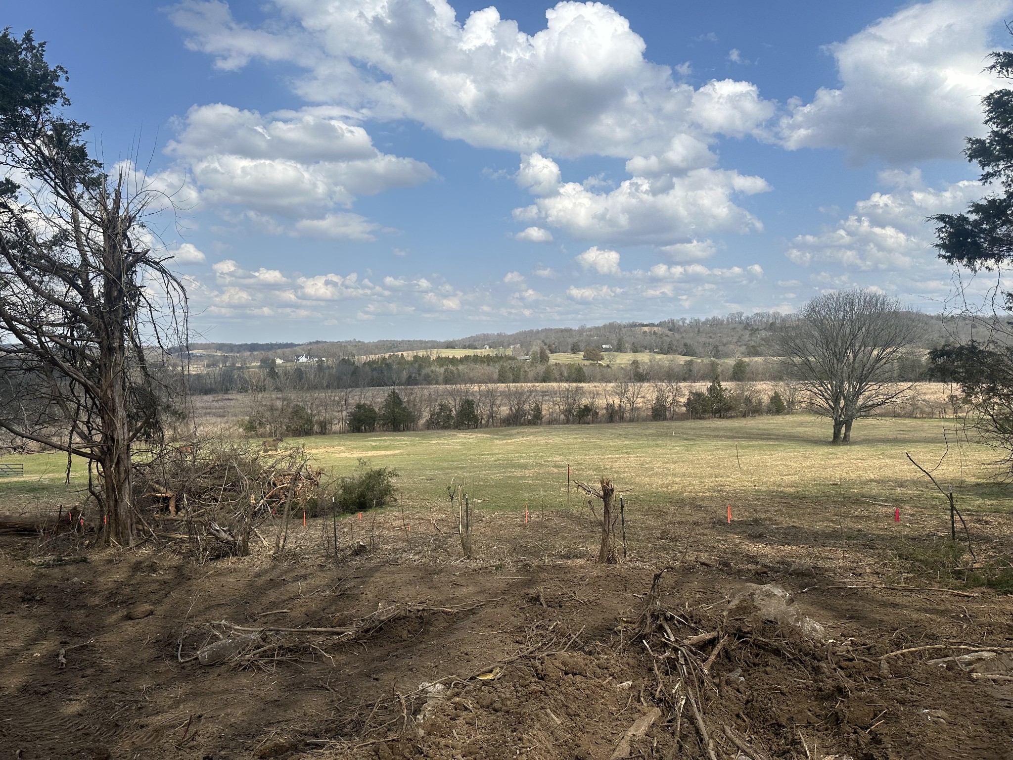 1351 Beasleys Bend Road Lebanon, TN 37087 - Photo 2 of 11 a view of lake view and mountain