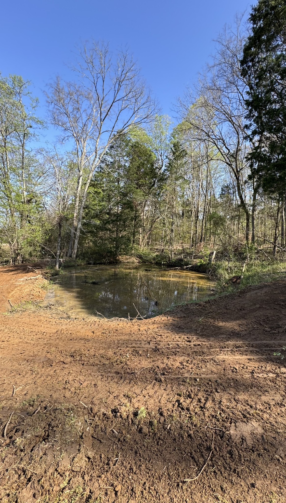 1351 Beasleys Bend Road Lebanon, TN 37087 - Photo 6 of 11 a view of lake with mountain