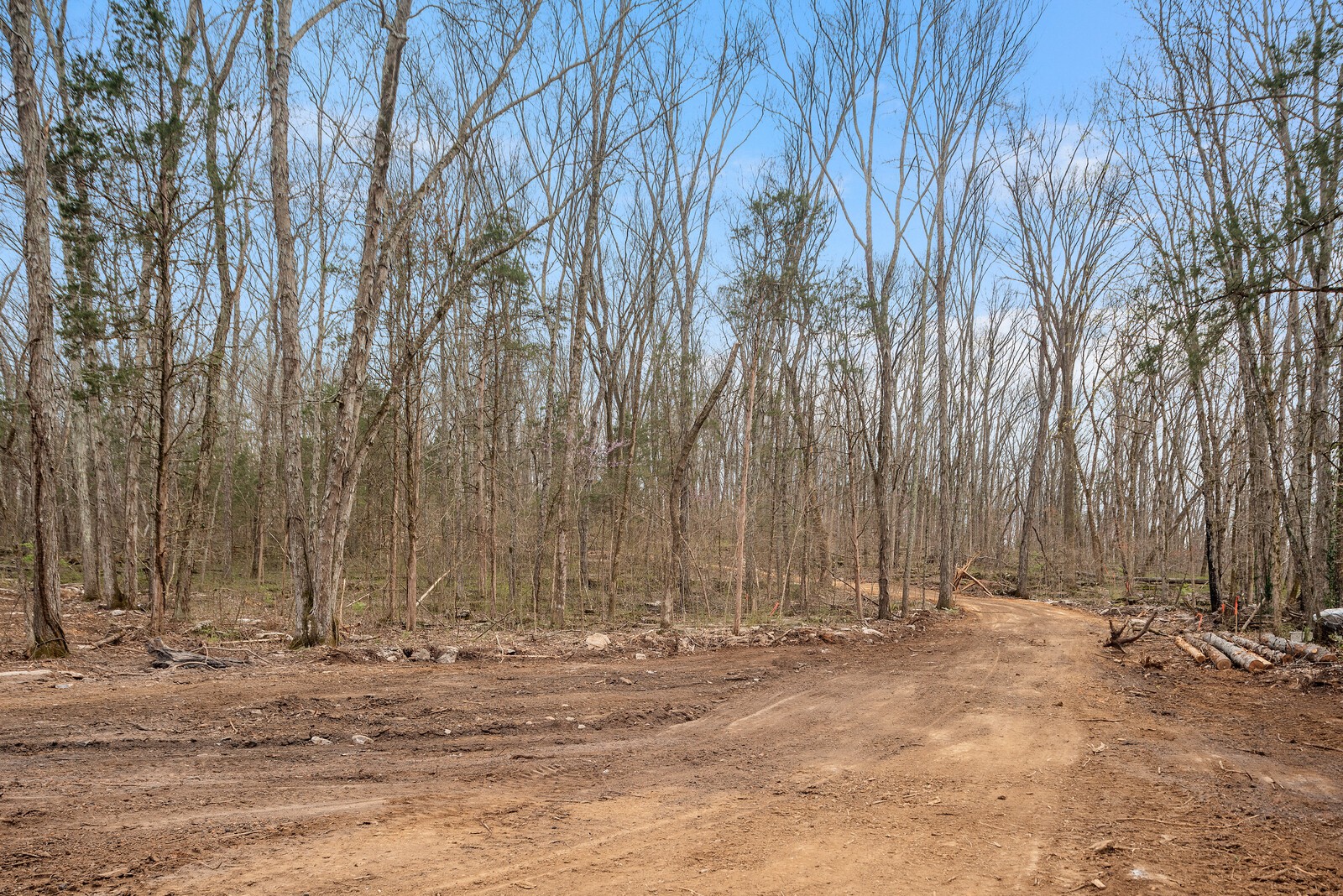 1351 Beasleys Bend Road Lebanon, TN 37087 - Photo 7 of 11 a view of a backyard
