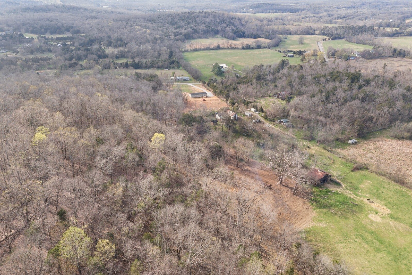 1351 Beasleys Bend Road Lebanon, TN 37087 - Photo 10 of 11 a view of a dry yard with trees