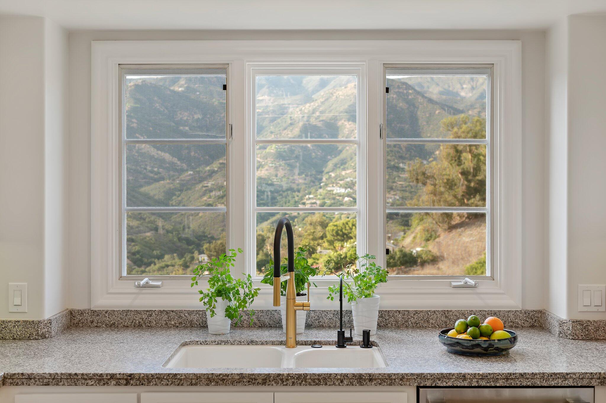 130 Via Alicia Santa Barbara, CA 93108 - Photo 6 of 16 a potted plant sitting on a window sill
