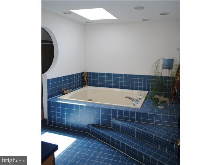 140 Fairhill Road Hatfield, PA 19440 - Photo 8 of 13 Master Bathroom
