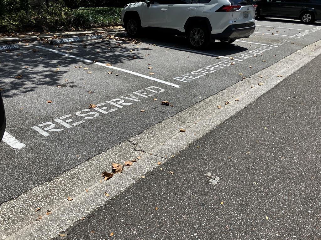 11703 Raintree Village Boulevard, Unit B Temple Terrace, FL 33617 - Photo 49 of 60