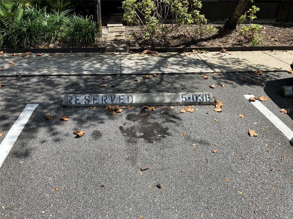 11703 Raintree Village Boulevard, Unit B Temple Terrace, FL 33617 - Photo 50 of 60