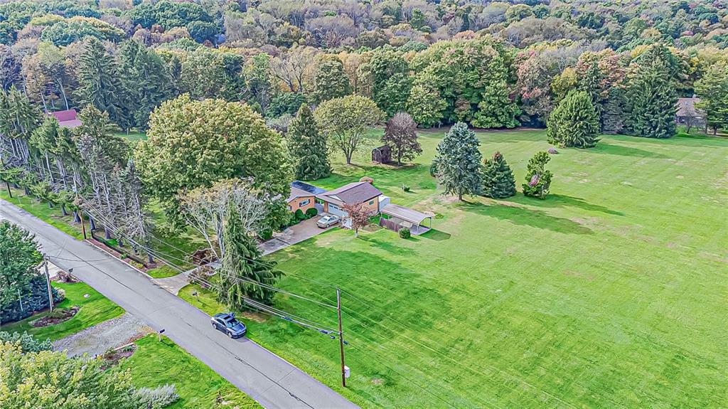 317 Hemlock Road Trafford, PA 15085 - Photo 3 of 25 Gallery Image 3