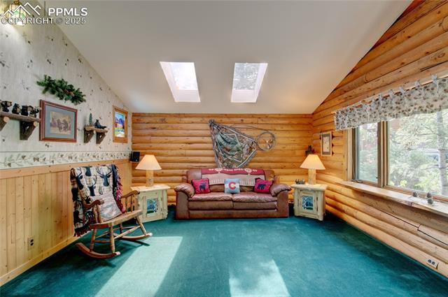 9615 Mountain Road Cascade, CO 80809 - Photo 22 of 31