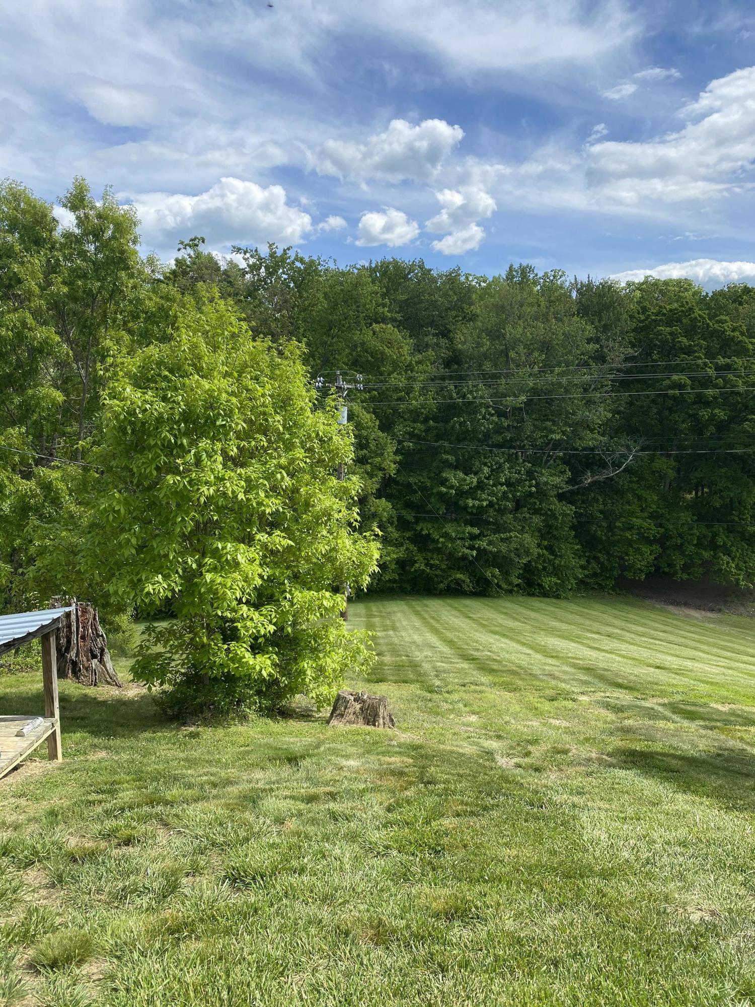 1505 Snodgrass Road New Tazewell, TN 37825 - Photo 21 of 21 3D5D405F-5199-4E7D-BBBF-2D3B5FEB4AF7