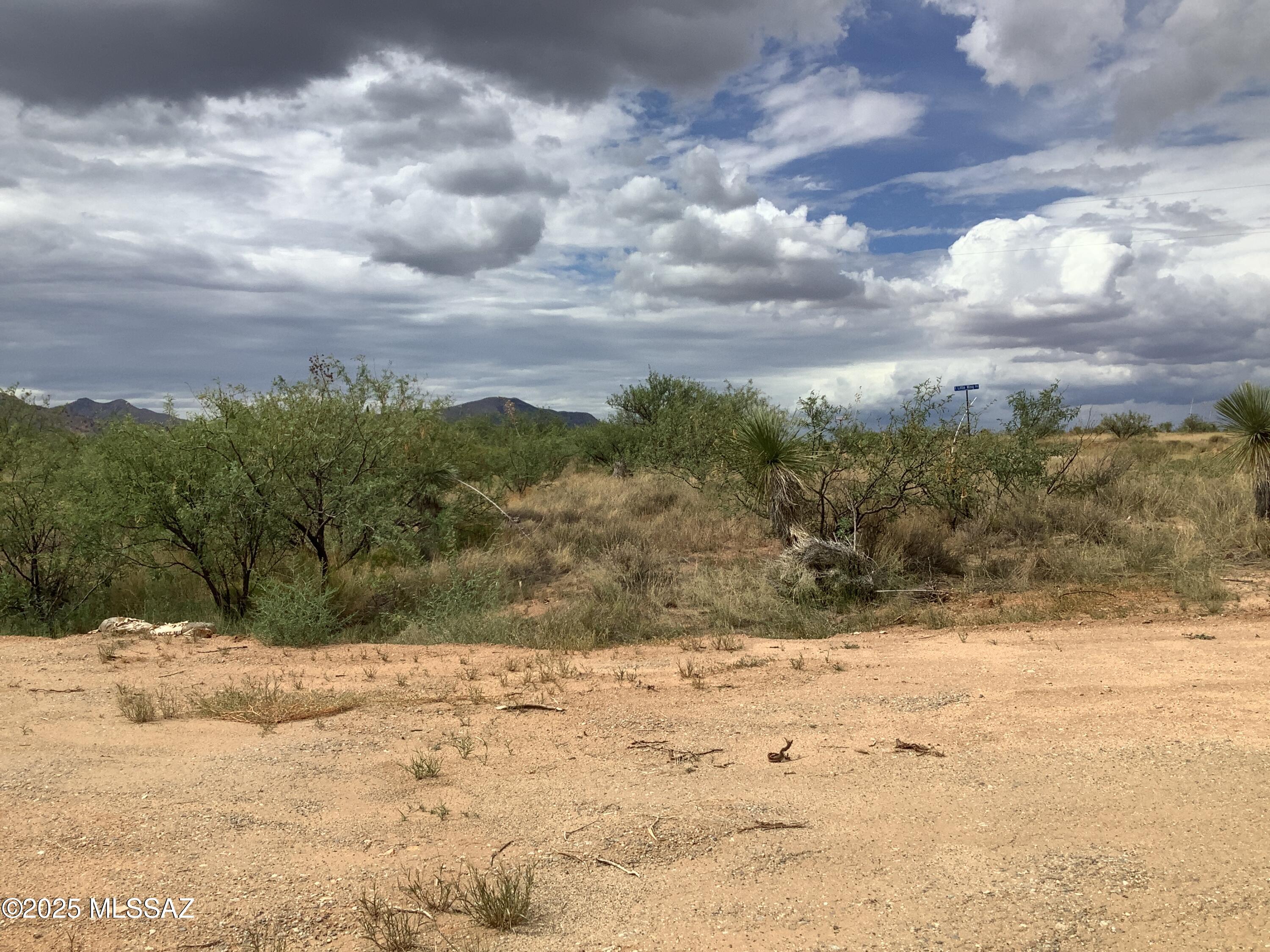 4.00-ac North Johnson Road Dragoon, AZ 85609 - Photo 29 of 31 IMG_1279