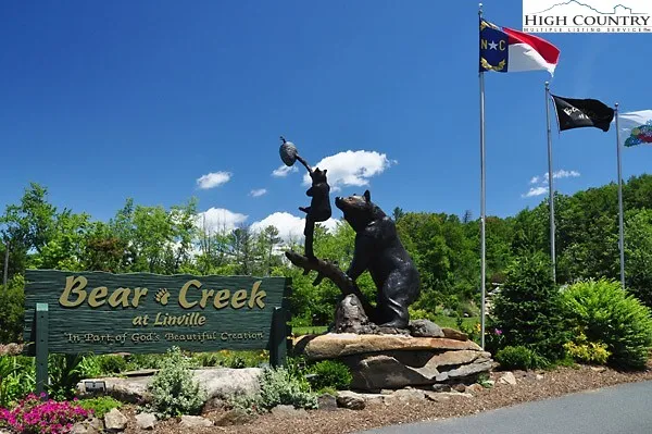 a view of a street with flower plants