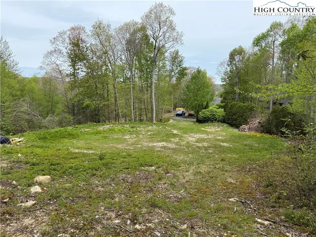 a green field with lots of trees