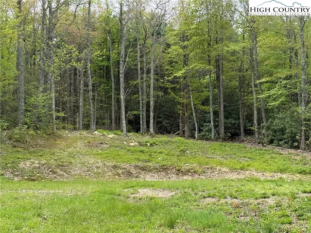 a view of a yard with a small cabin