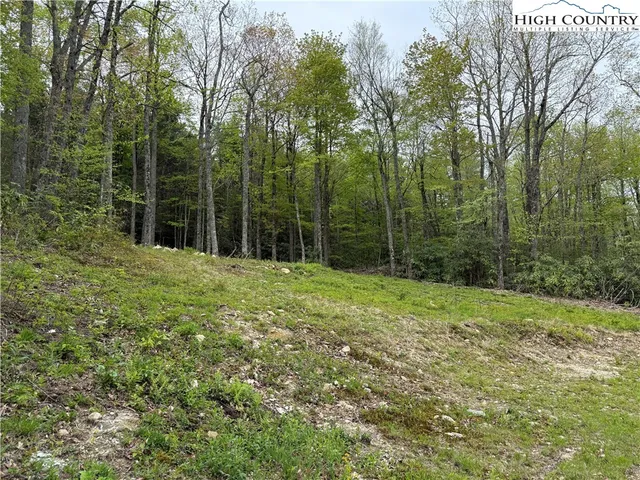 a big yard with lots of green space and trees