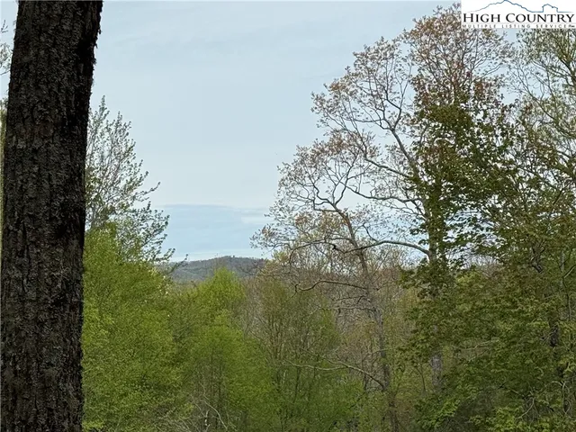 a view of a tree in a yard
