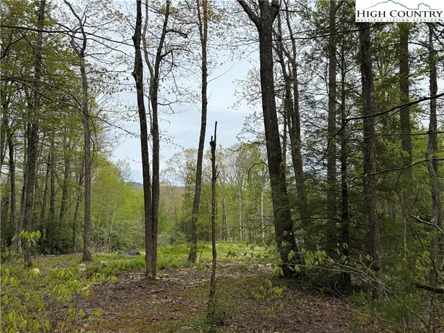 a view of a field with trees in the background