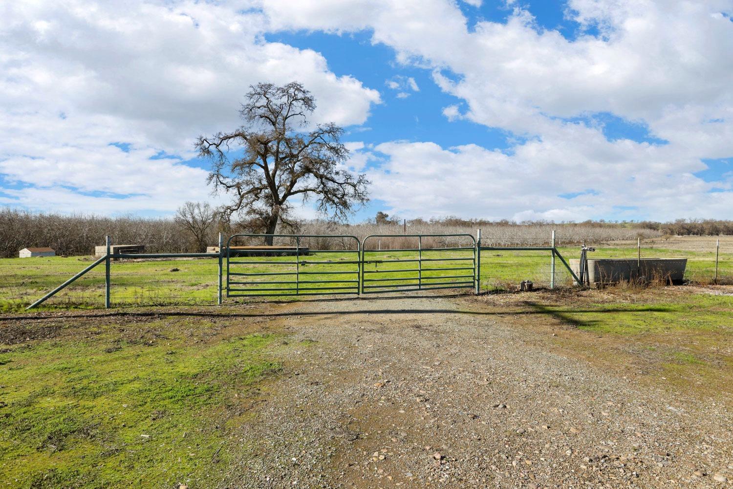 11402 Shelton Road Linden, CA 95236 - Photo 25 of 38 a view of a park