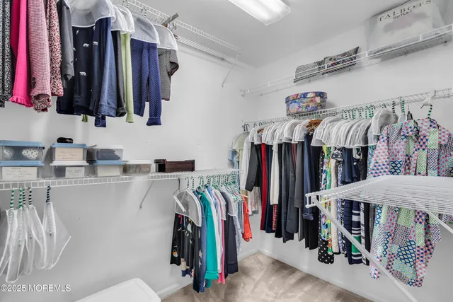 a view of walk in closet with clothes and shoes