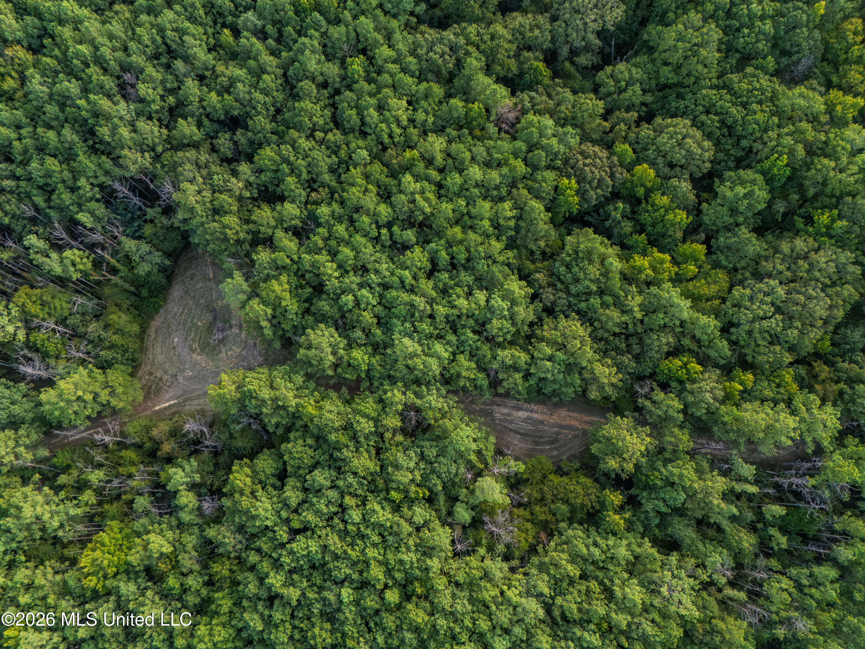 884 Truitt Road Pickens, MS 39146 - Photo 30 of 36 DJI_20260817175616_0212_D