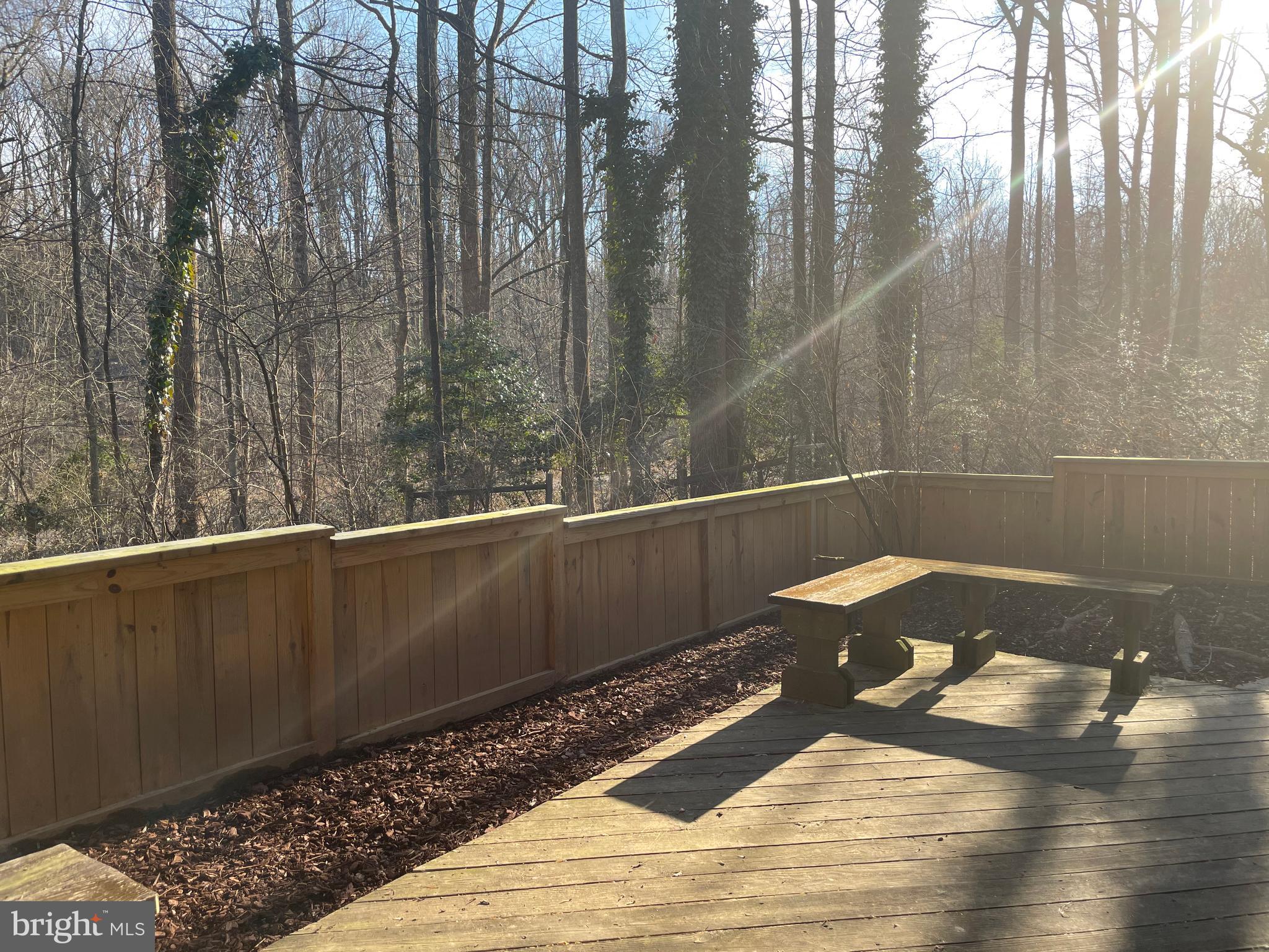 2285 Chestnut Burr Court Reston, VA 20191 - Photo 15 of 15 View of backwoods from patio