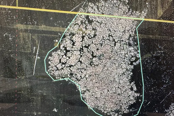 $24,900 | Island Drive, Iola, WI 54945