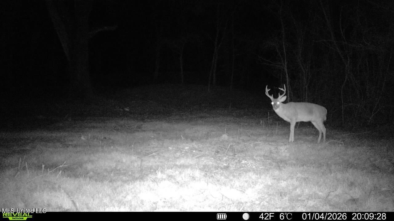 3368 Highway 17 Pickens, MS 39146 - Photo 11 of 81 5D417B0F-2C61-401A-95FF-030ECCD75581