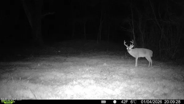 $399,000 | 3368 Highway 17, Pickens, MS 39146