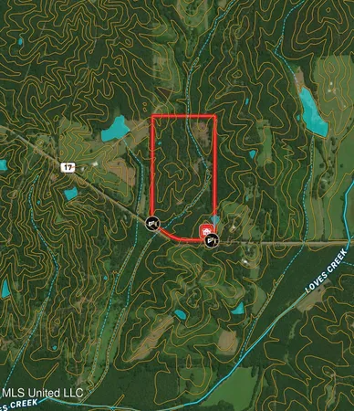 $399,000 | 3368 Highway 17, Pickens, MS 39146