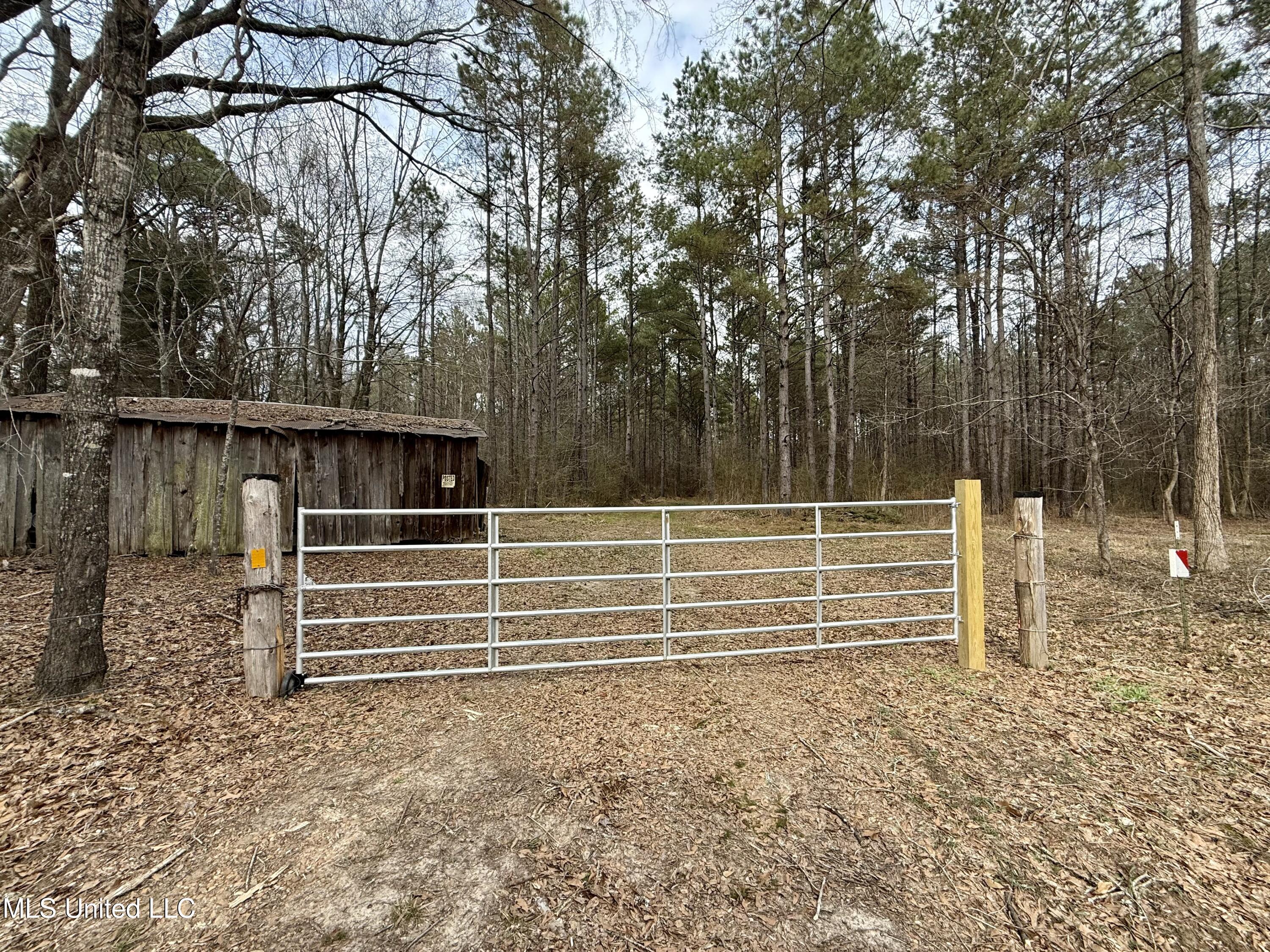 3368 Highway 17 Pickens, MS 39146 - Photo 16 of 81 IMG_0020