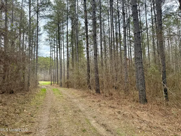 $399,000 | 3368 Highway 17, Pickens, MS 39146
