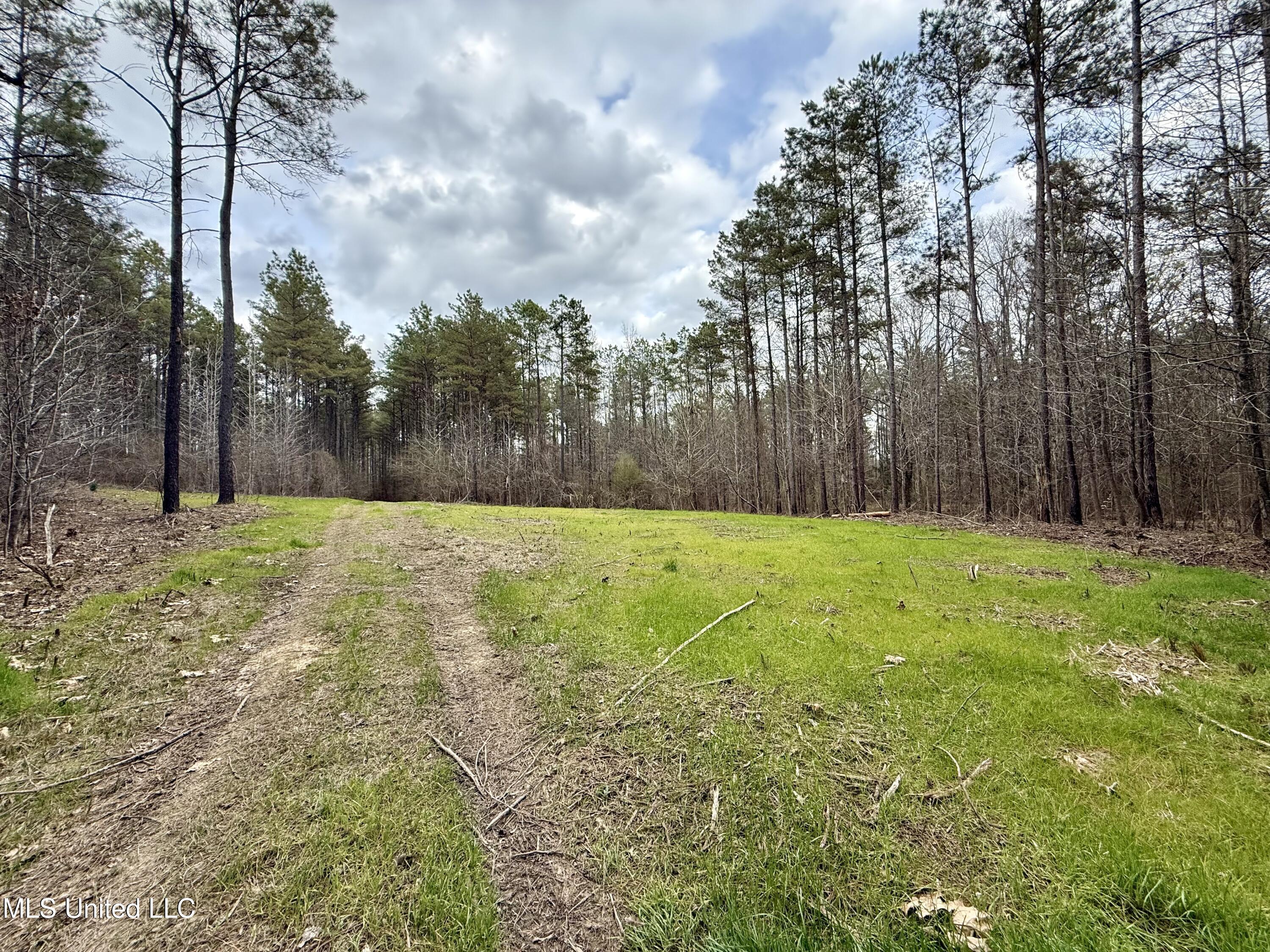 3368 Highway 17 Pickens, MS 39146 - Photo 20 of 84 IMG_0027