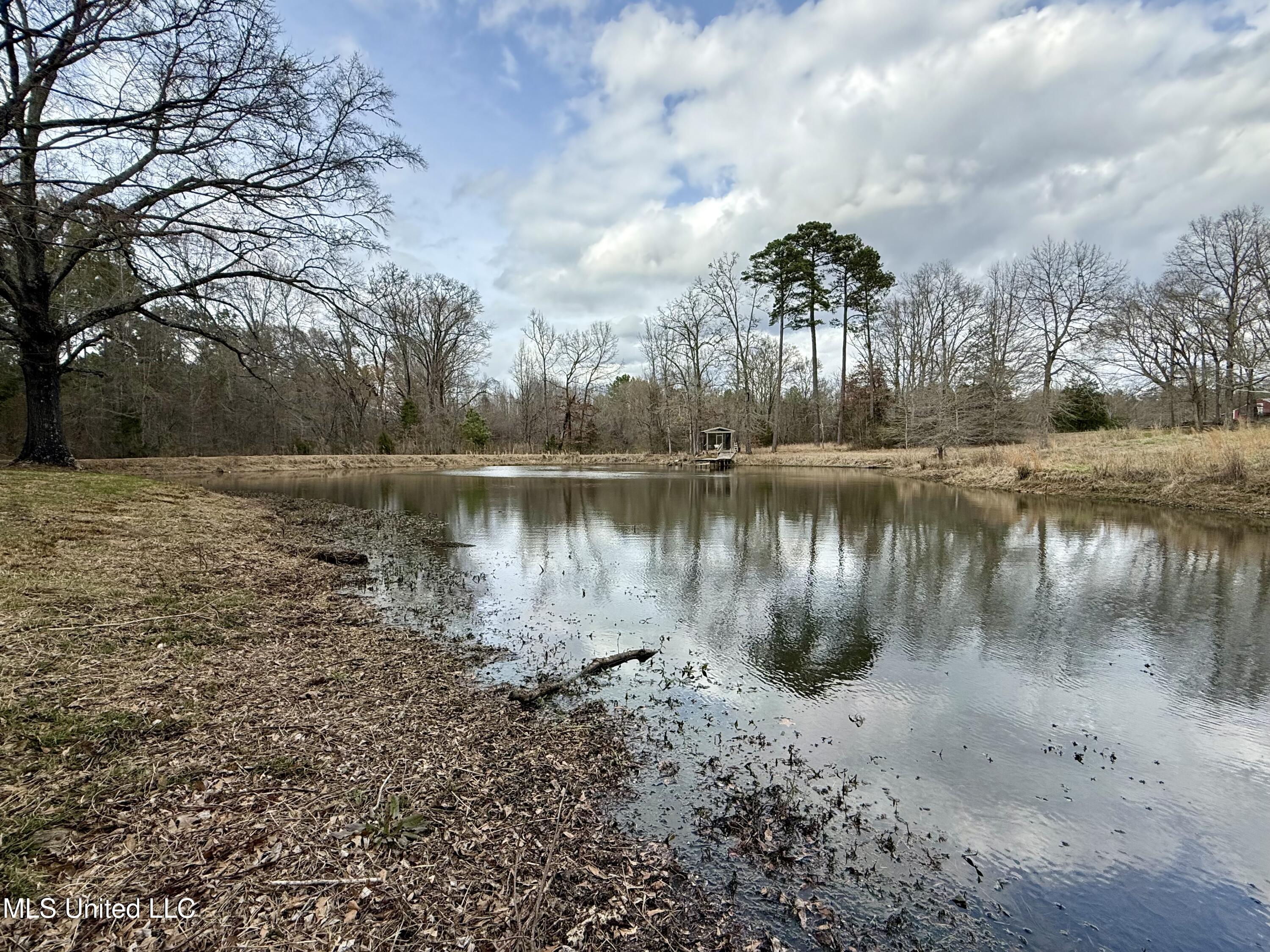 3368 Highway 17 Pickens, MS 39146 - Photo 2 of 81 IMG_9940