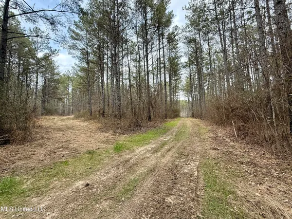$399,000 | 3368 Highway 17, Pickens, MS 39146