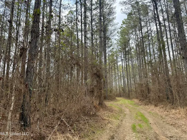 $399,000 | 3368 Highway 17, Pickens, MS 39146