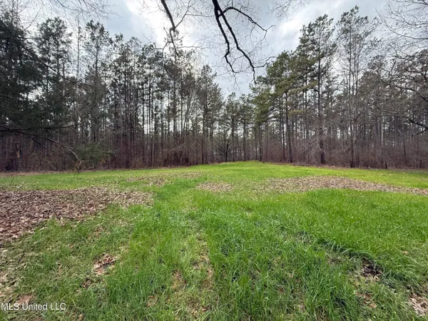 $399,000 | 3368 Highway 17, Pickens, MS 39146