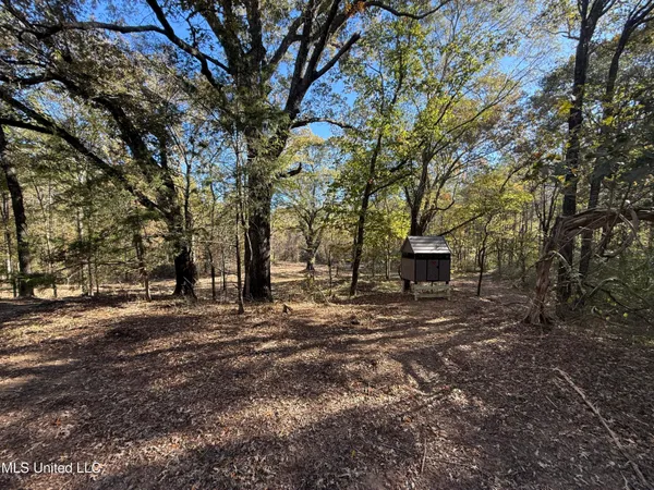 $399,000 | 3368 Highway 17, Pickens, MS 39146