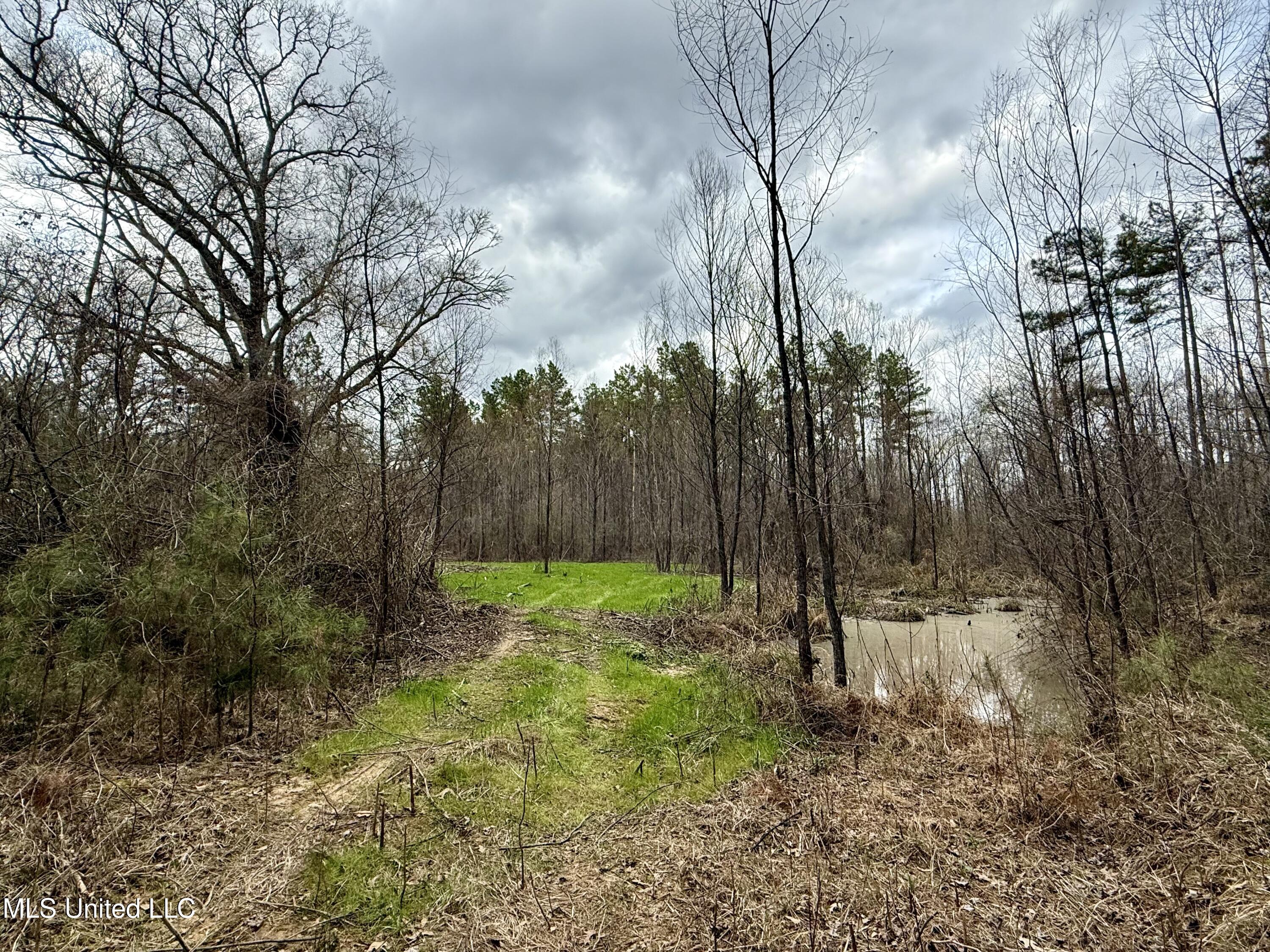 3368 Highway 17 Pickens, MS 39146 - Photo 26 of 81 IMG_0073