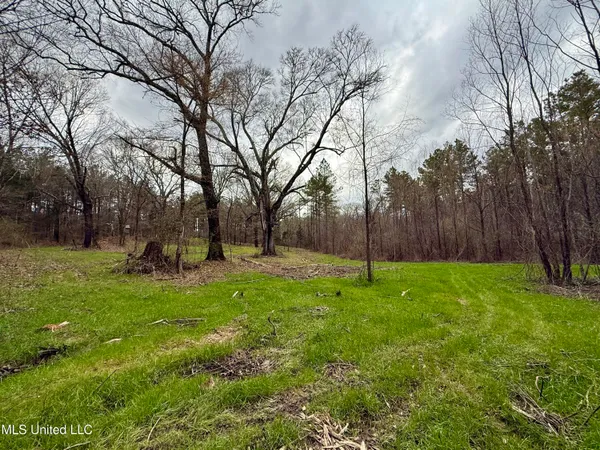 $399,000 | 3368 Highway 17, Pickens, MS 39146