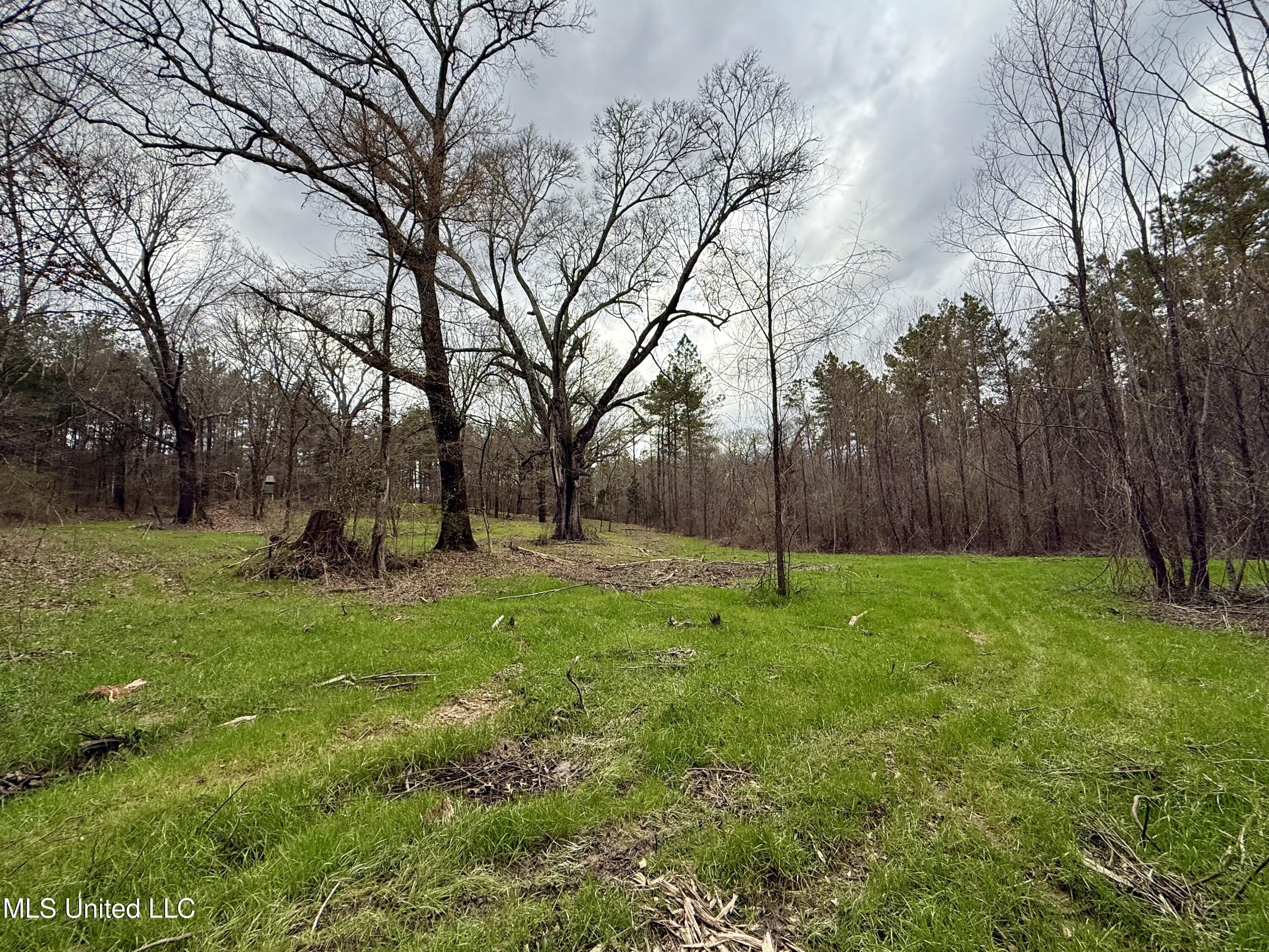 3368 Highway 17 Pickens, MS 39146 - Photo 26 of 84 IMG_0075