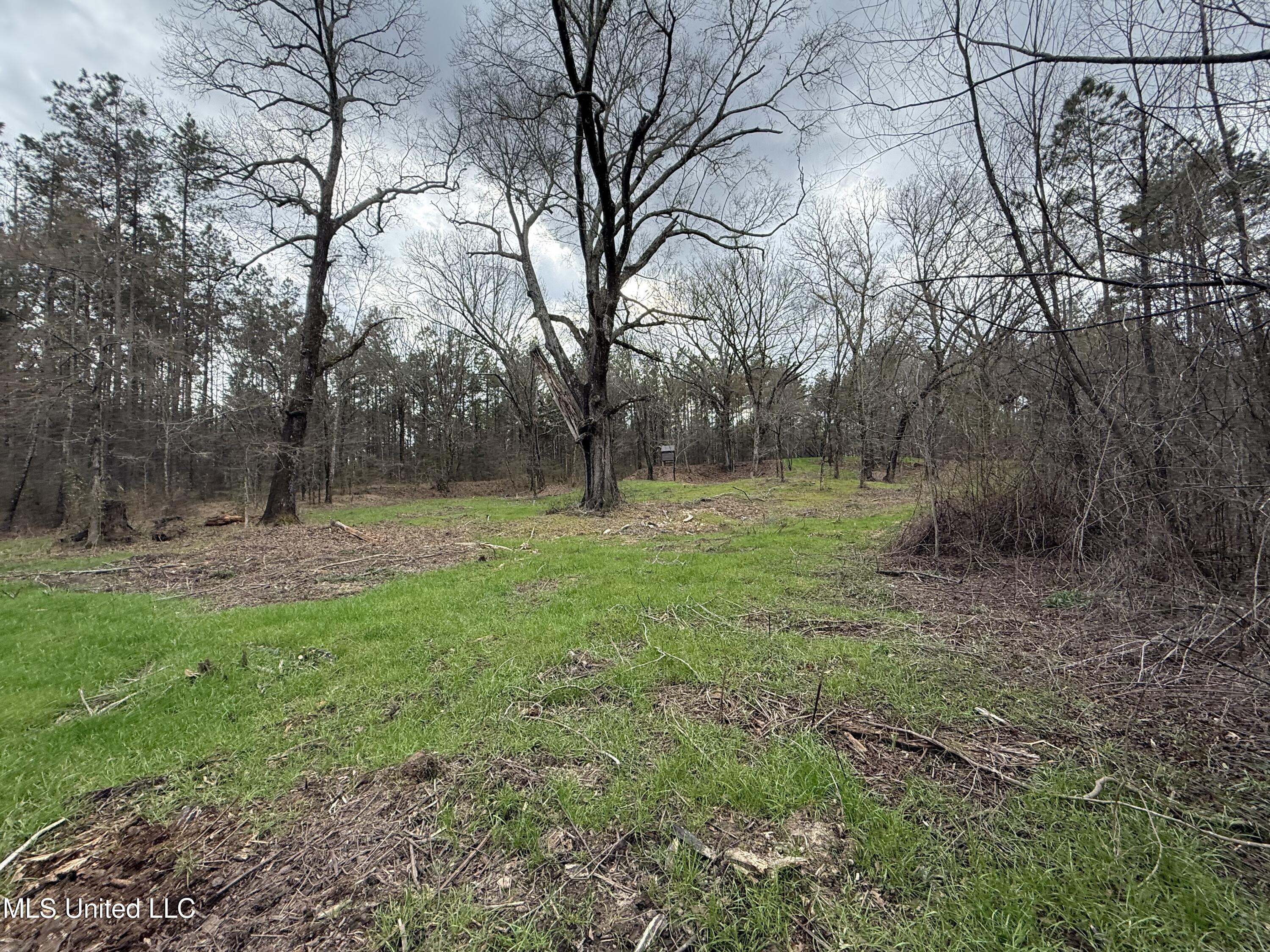 3368 Highway 17 Pickens, MS 39146 - Photo 27 of 84 IMG_0077