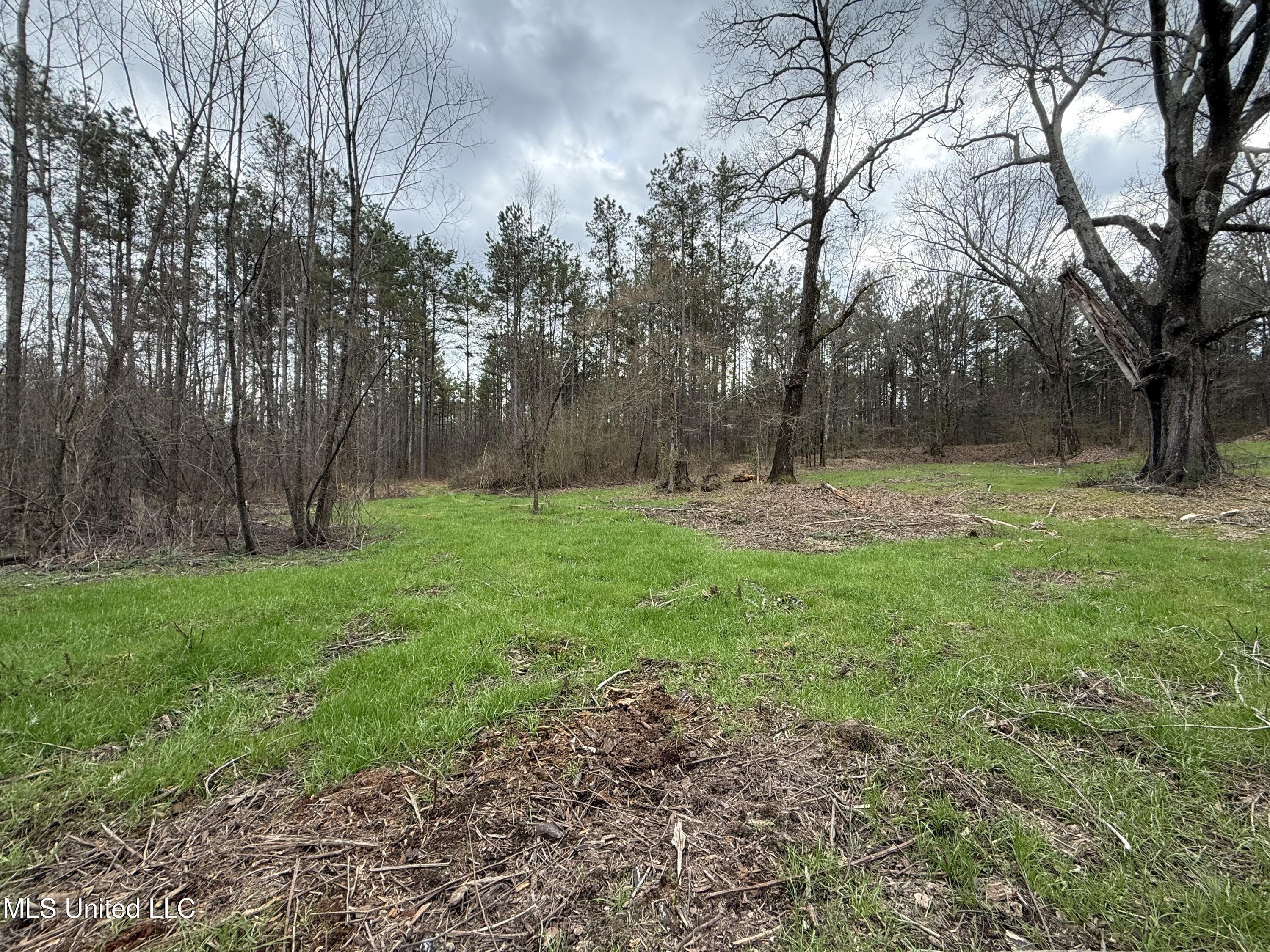 3368 Highway 17 Pickens, MS 39146 - Photo 28 of 81 IMG_0078