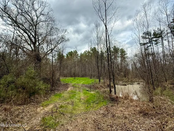 $399,000 | 3368 Highway 17, Pickens, MS 39146