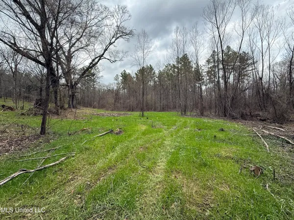 $399,000 | 3368 Highway 17, Pickens, MS 39146