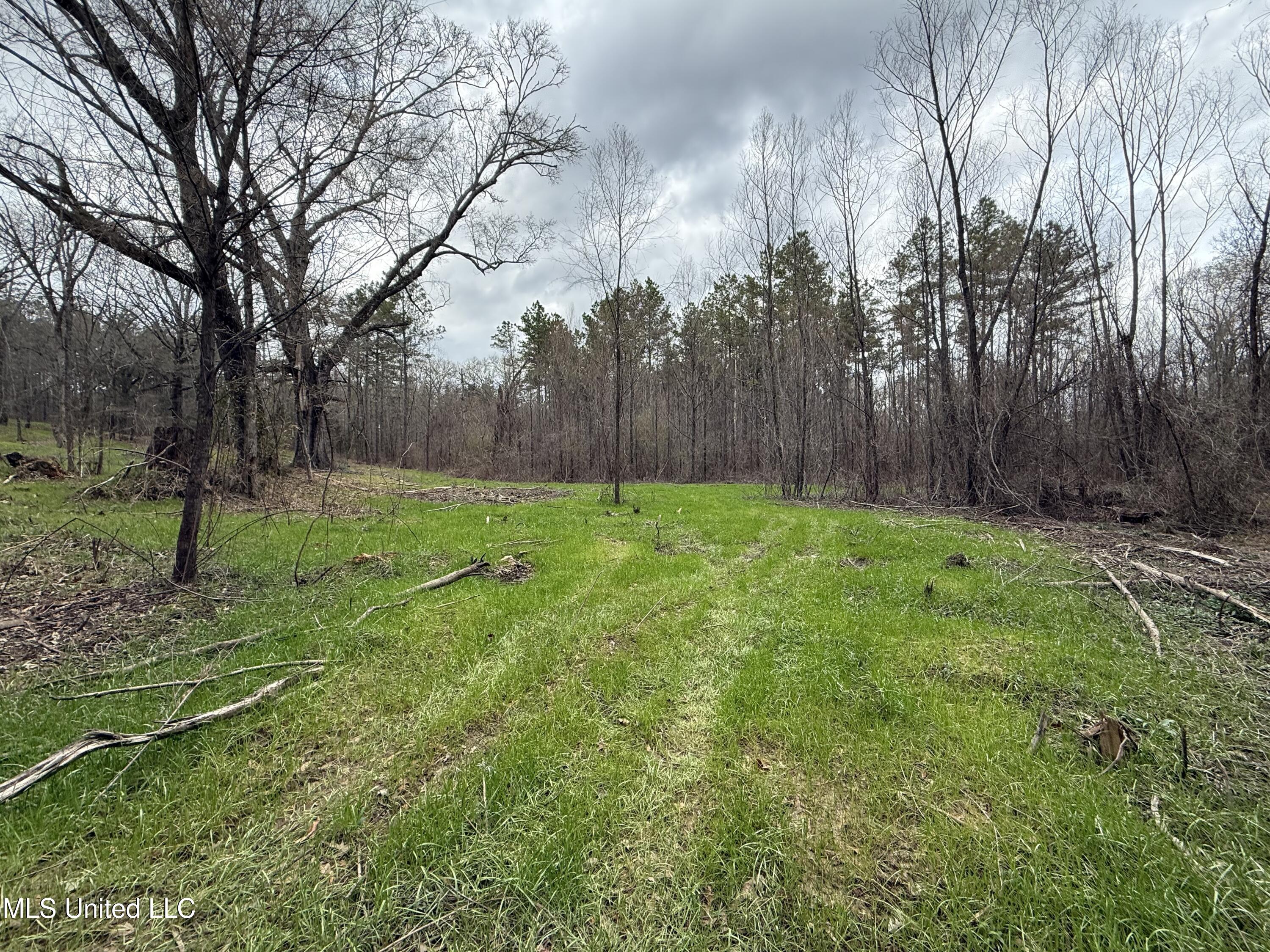 3368 Highway 17 Pickens, MS 39146 - Photo 29 of 84 IMG_0074