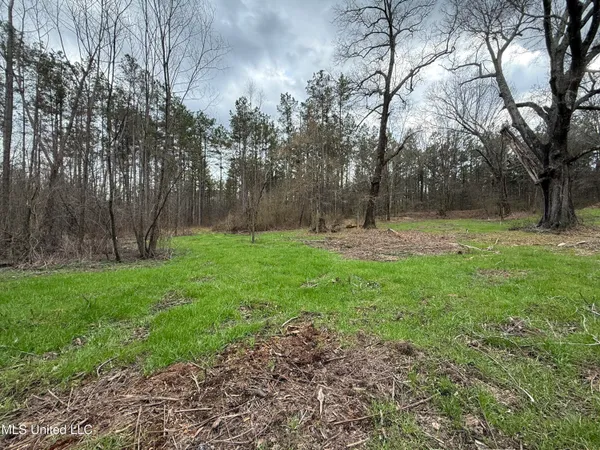 $399,000 | 3368 Highway 17, Pickens, MS 39146