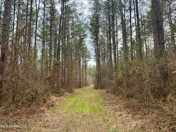 $399,000 | 3368 Highway 17, Pickens, MS 39146
