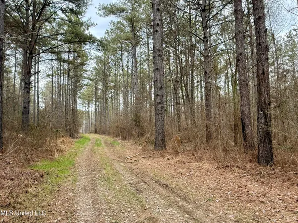 $399,000 | 3368 Highway 17, Pickens, MS 39146