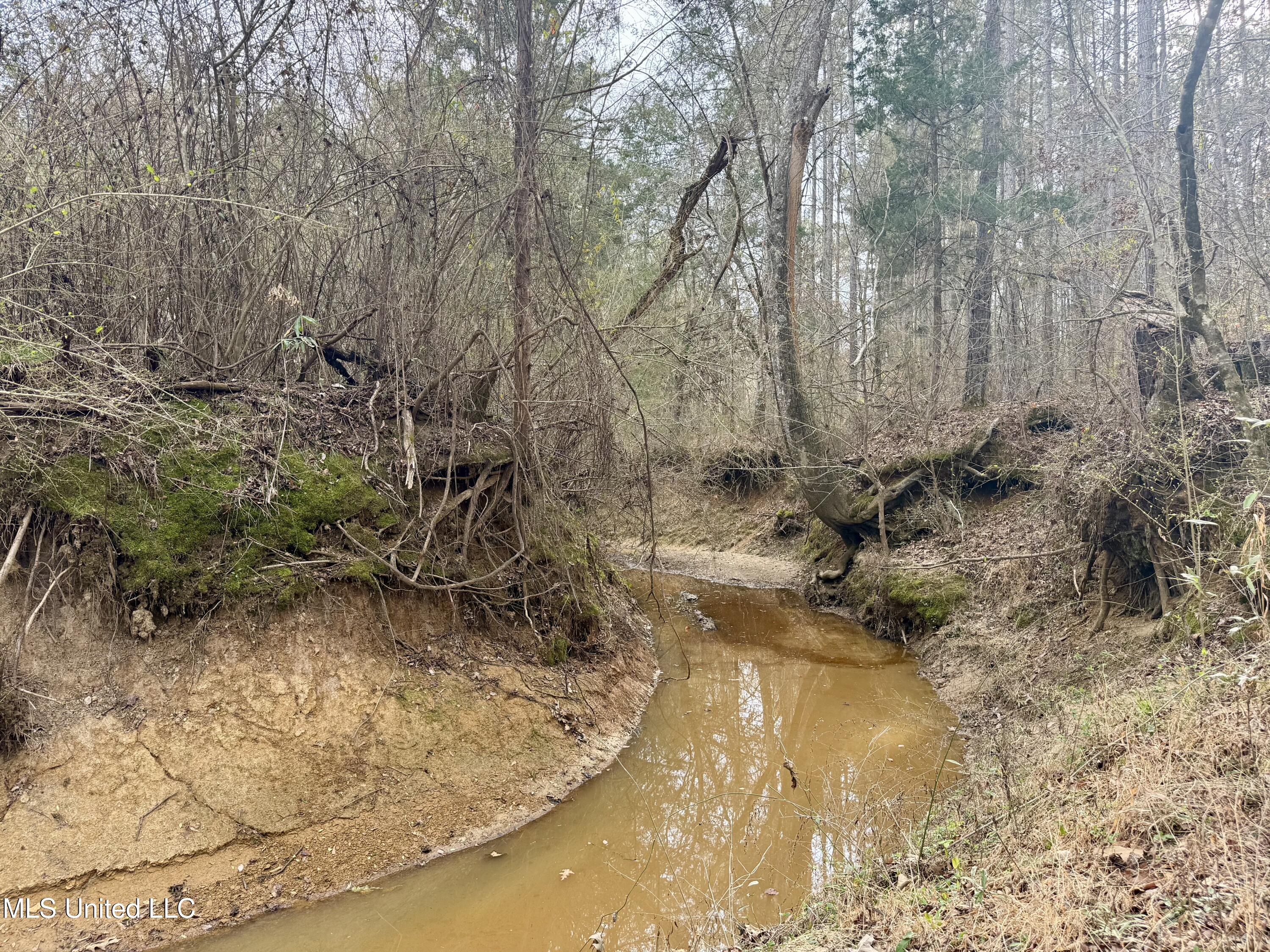 3368 Highway 17 Pickens, MS 39146 - Photo 33 of 84 IMG_0035