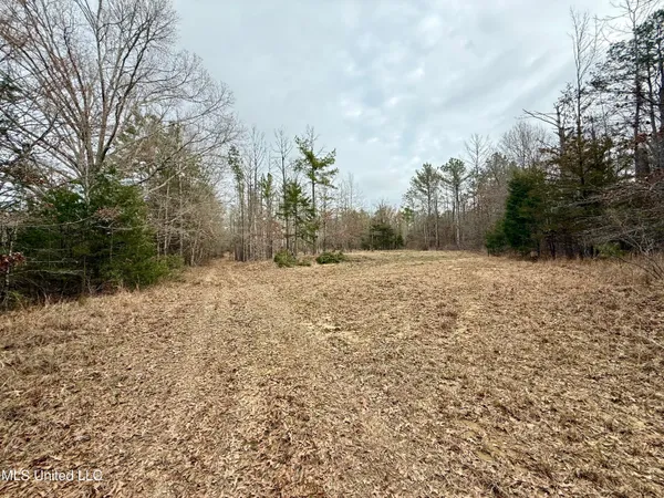 $399,000 | 3368 Highway 17, Pickens, MS 39146