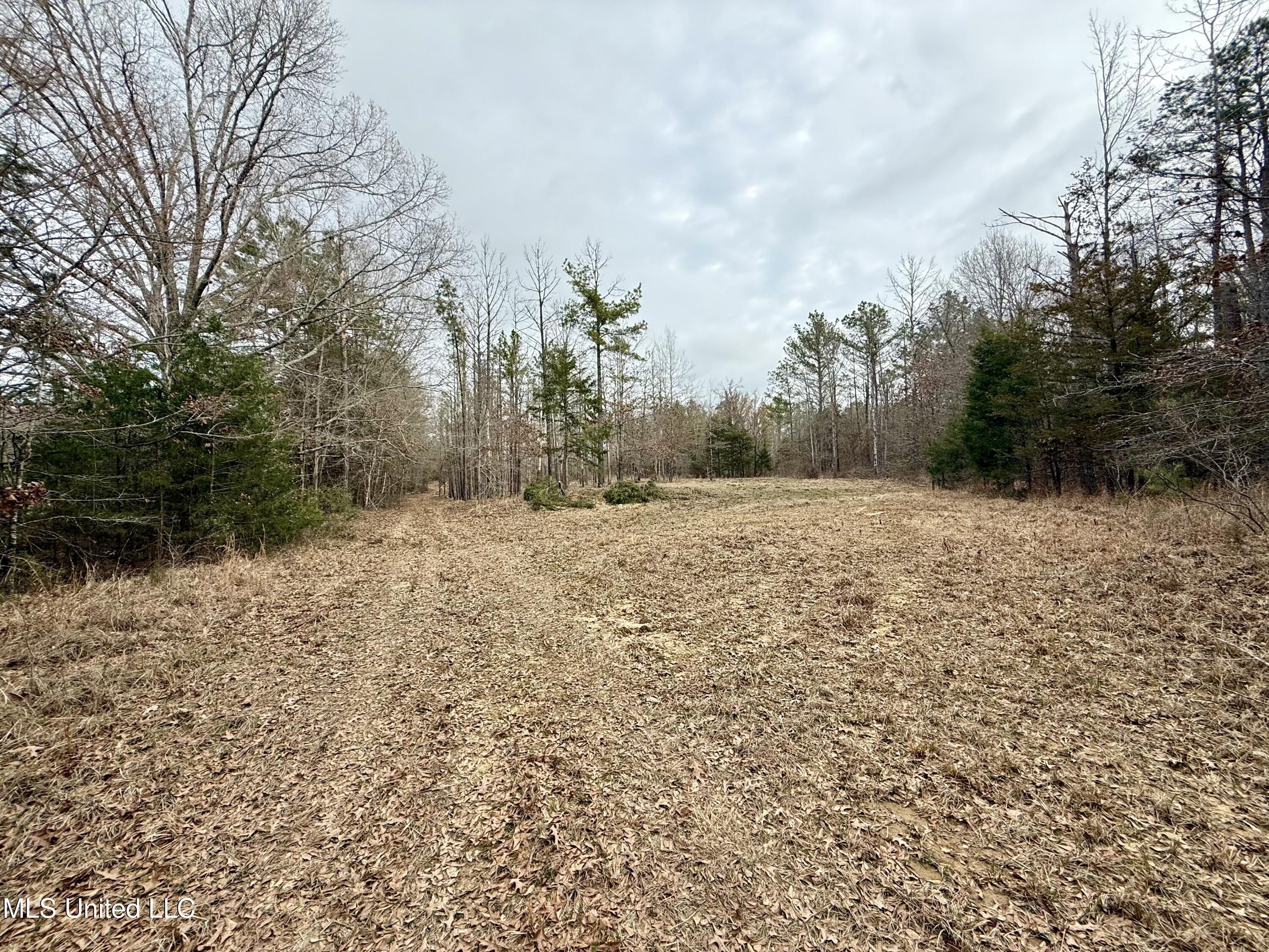 3368 Highway 17 Pickens, MS 39146 - Photo 34 of 84 IMG_0127