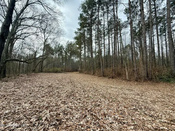 $399,000 | 3368 Highway 17, Pickens, MS 39146