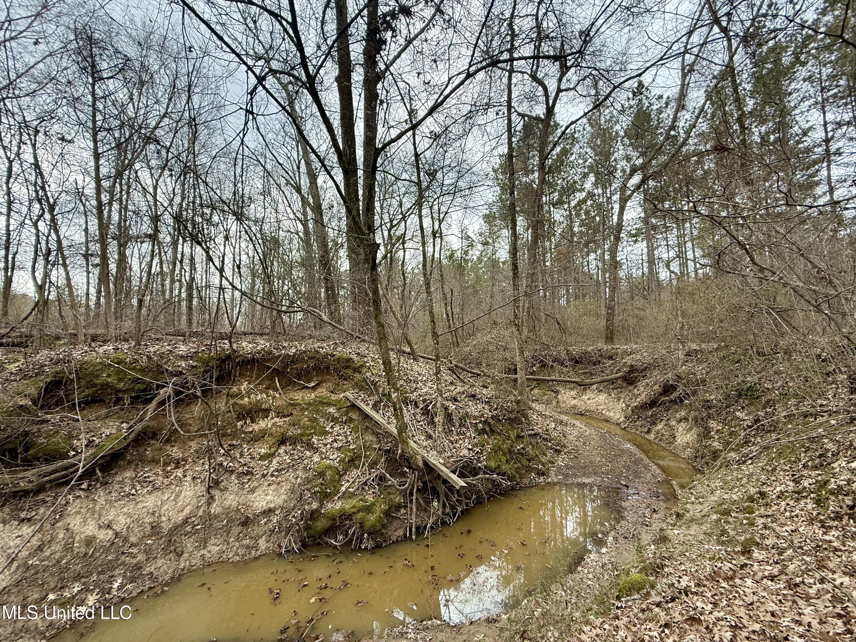 3368 Highway 17 Pickens, MS 39146 - Photo 37 of 81 IMG_0139